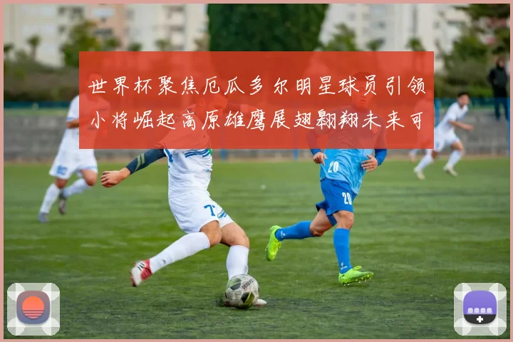 世界杯聚焦厄瓜多尔明星球员引领小将崛起高原雄鹰展翅翱翔未来可期